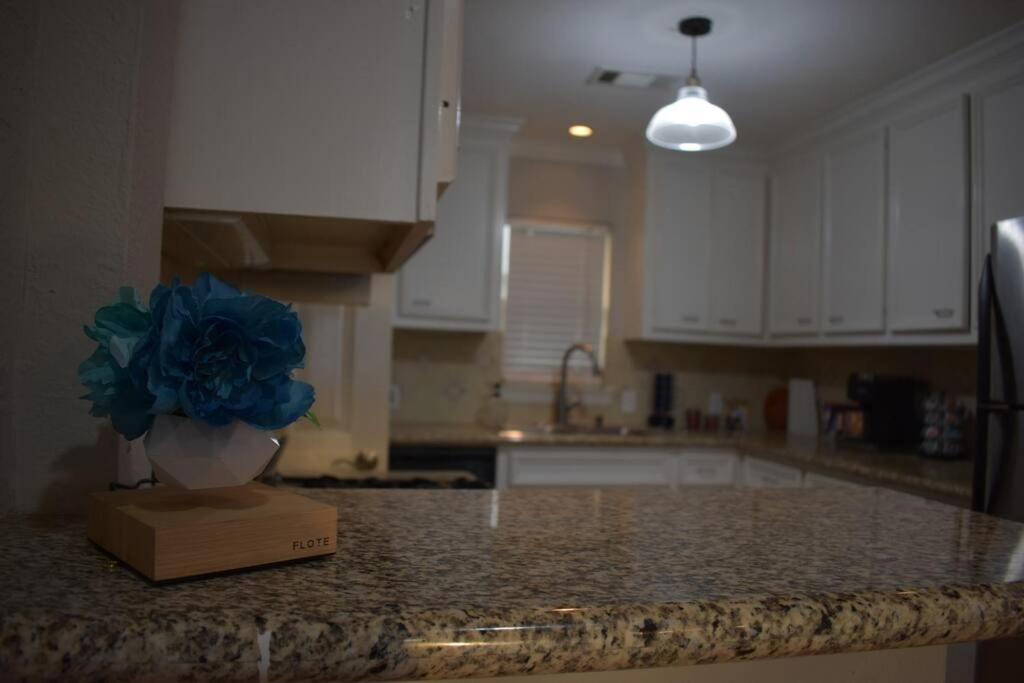 דירות יוסטון Townhouse Near Midtown מראה חיצוני תמונה